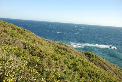 DSC_0082.jpg